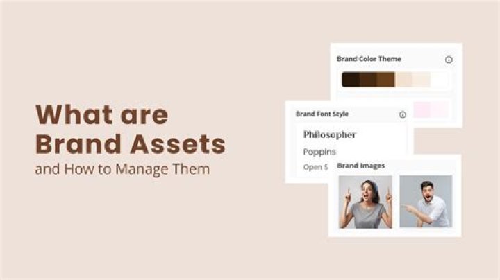 Discoveries And Insights For Brand Enthusiasts